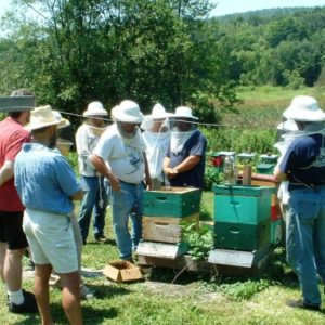 Starting in Beekeeping (Class  #4 only: Date still To Be Determined)