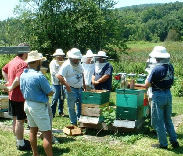 Starting in Beekeeping (Class  #4 only: Date still To Be Determined)